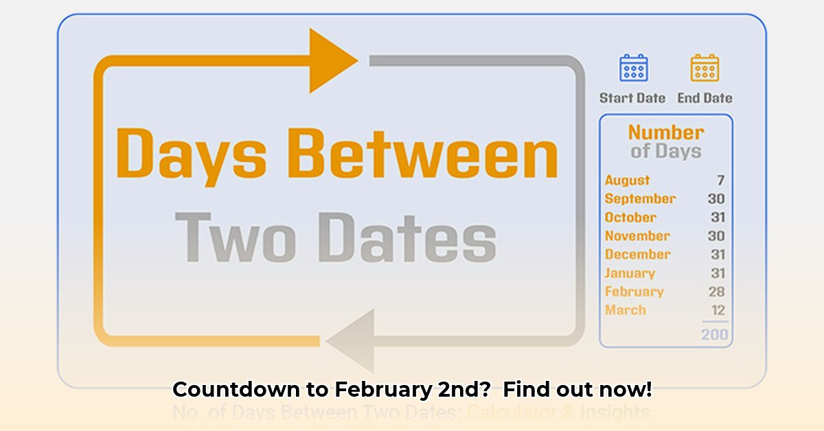 february-2nd-countdown-calculator
